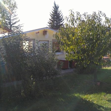 Greenhouse Just 15 Min From The Old Town Bratislava Esterno foto