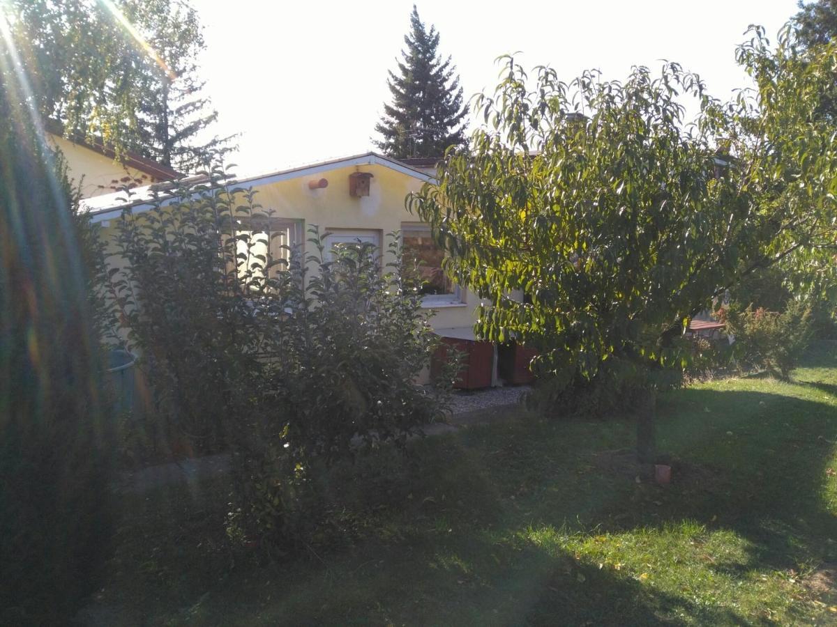 Greenhouse Just 15 Min From The Old Town Bratislava Esterno foto